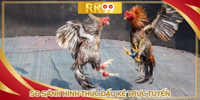 So sánh hình thức đấu kê trực tuyến