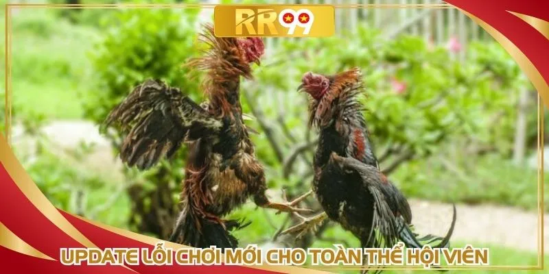 Update lỗi chơi mới cho toàn thể hội viên